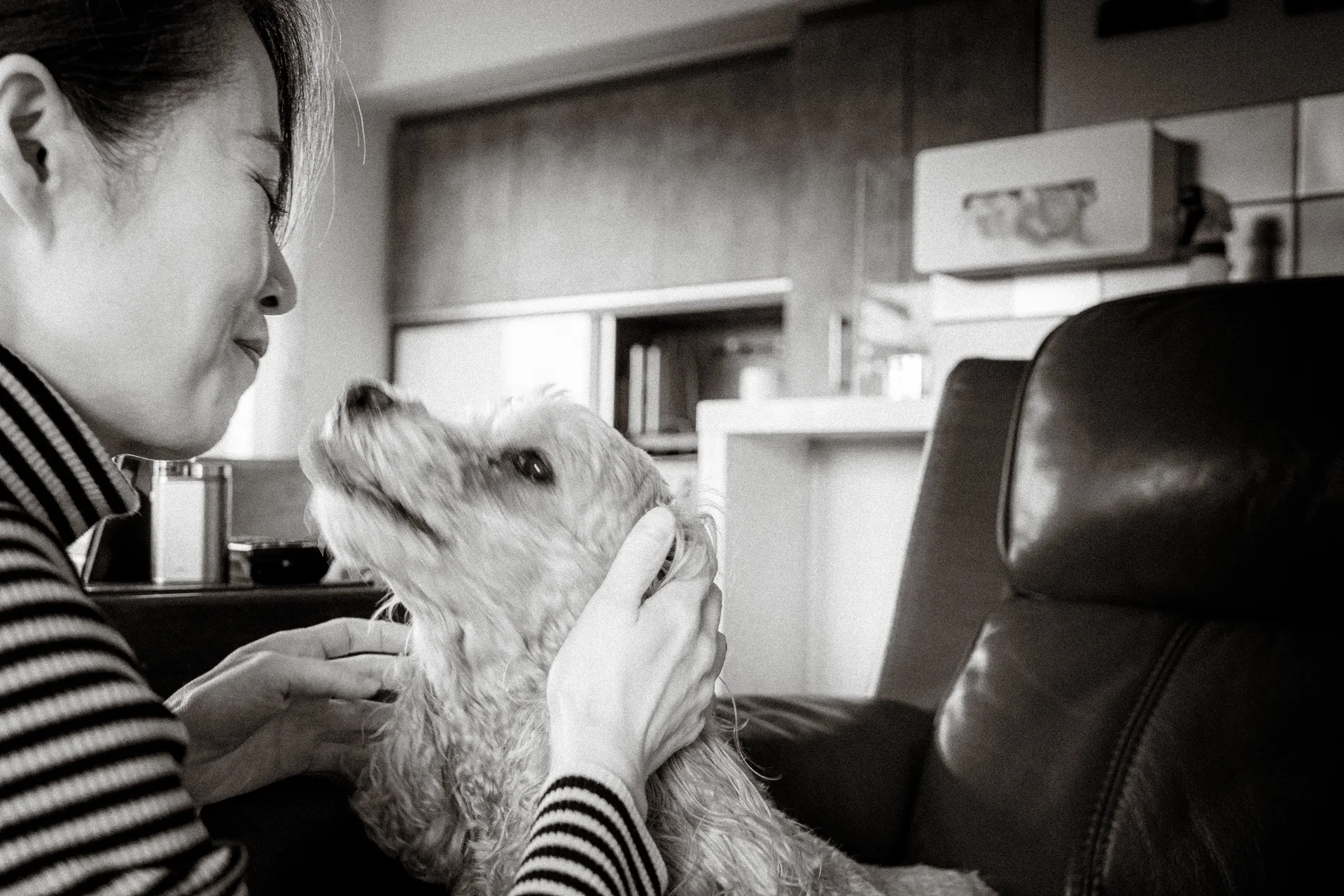 A person gently holds a small shaggy dog facing their cheek in black and white.