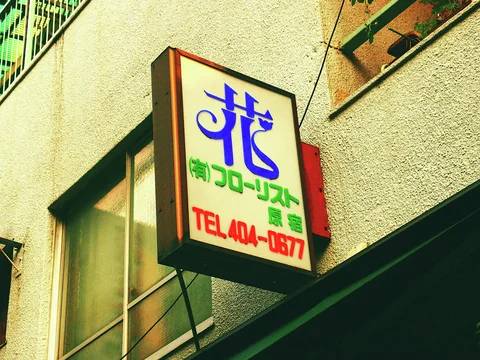 A projecting florist sign shows a large blue character above green and red lettering.