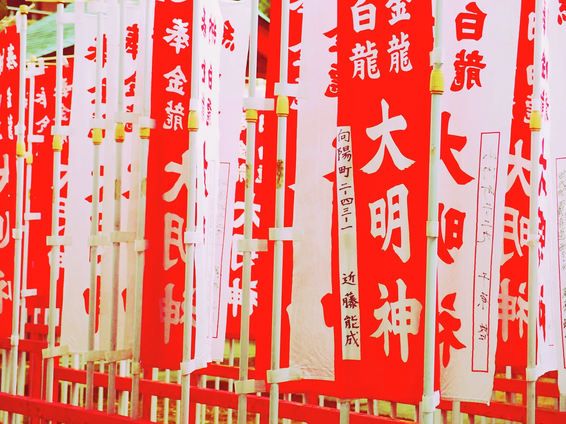 Closely spaced red and white vertical banners display bold Japanese characters on pale poles.