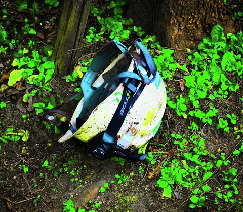 A scuffed white and blue helmet rests among bright green leaves at the base of a tree.