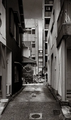 A narrow paved alley runs between tall buildings toward distant vegetation in black and white.