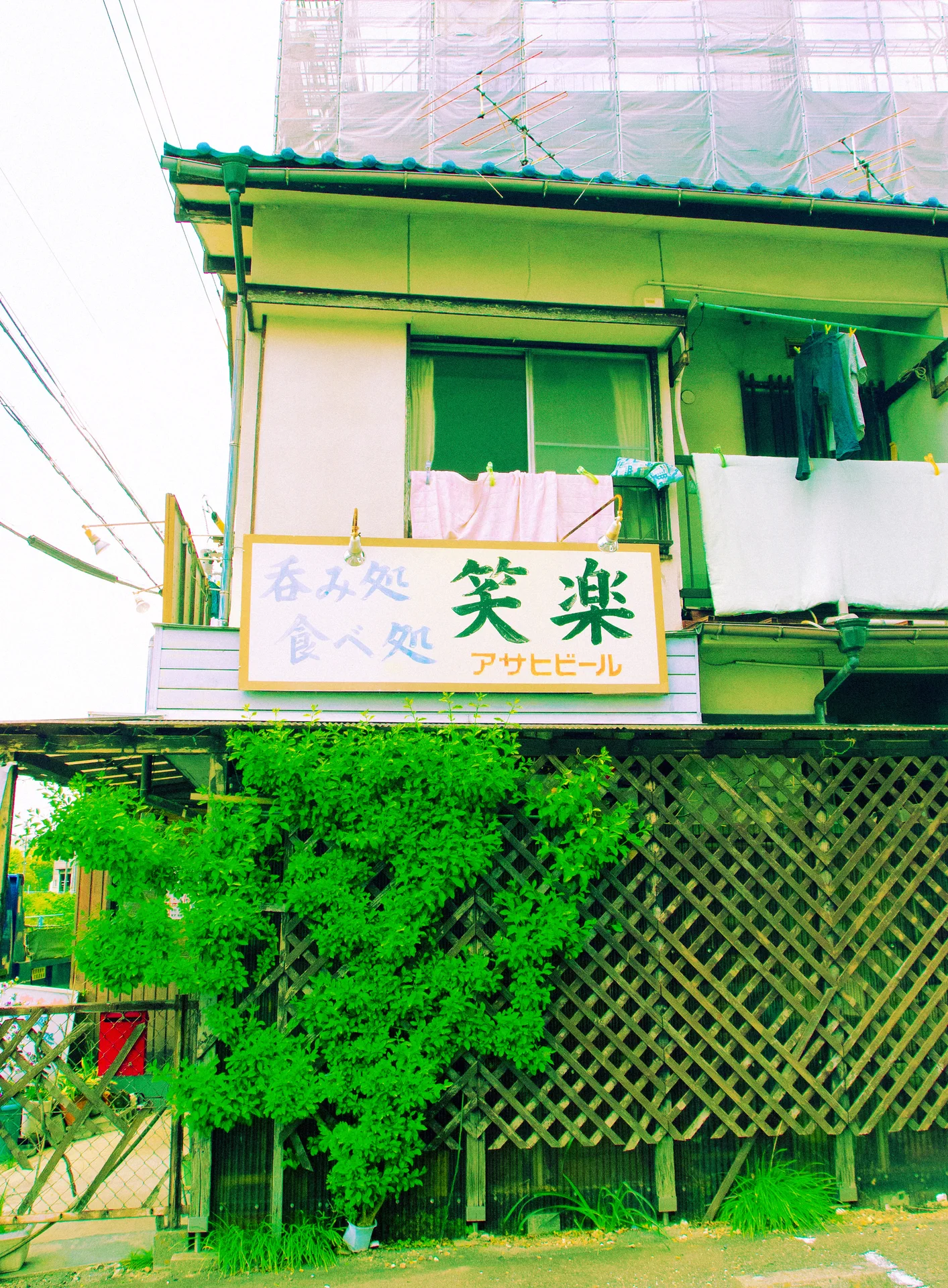 Green vines cover a lattice frontage beneath a pale sign and upper balcony with hanging laundry.
