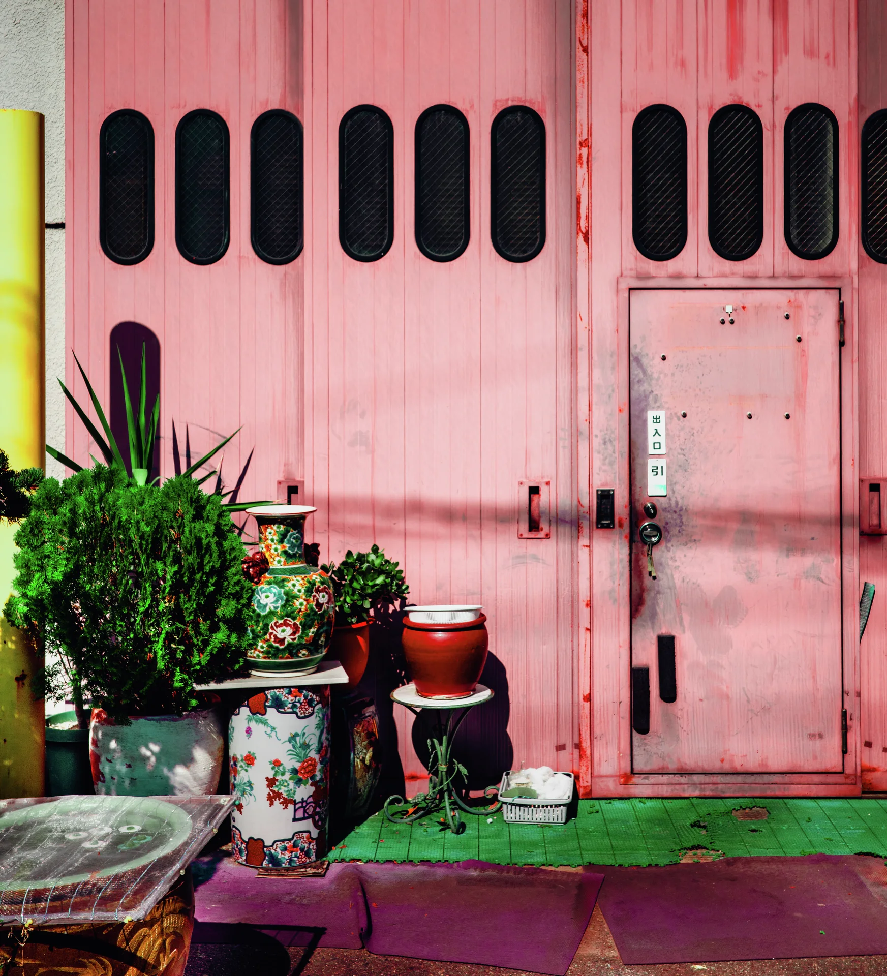 Potted plants and assorted containers cluster beside pink metal doors with narrow oval windows.
