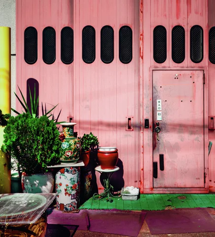 Potted plants and assorted containers cluster beside pink metal doors with narrow oval windows.