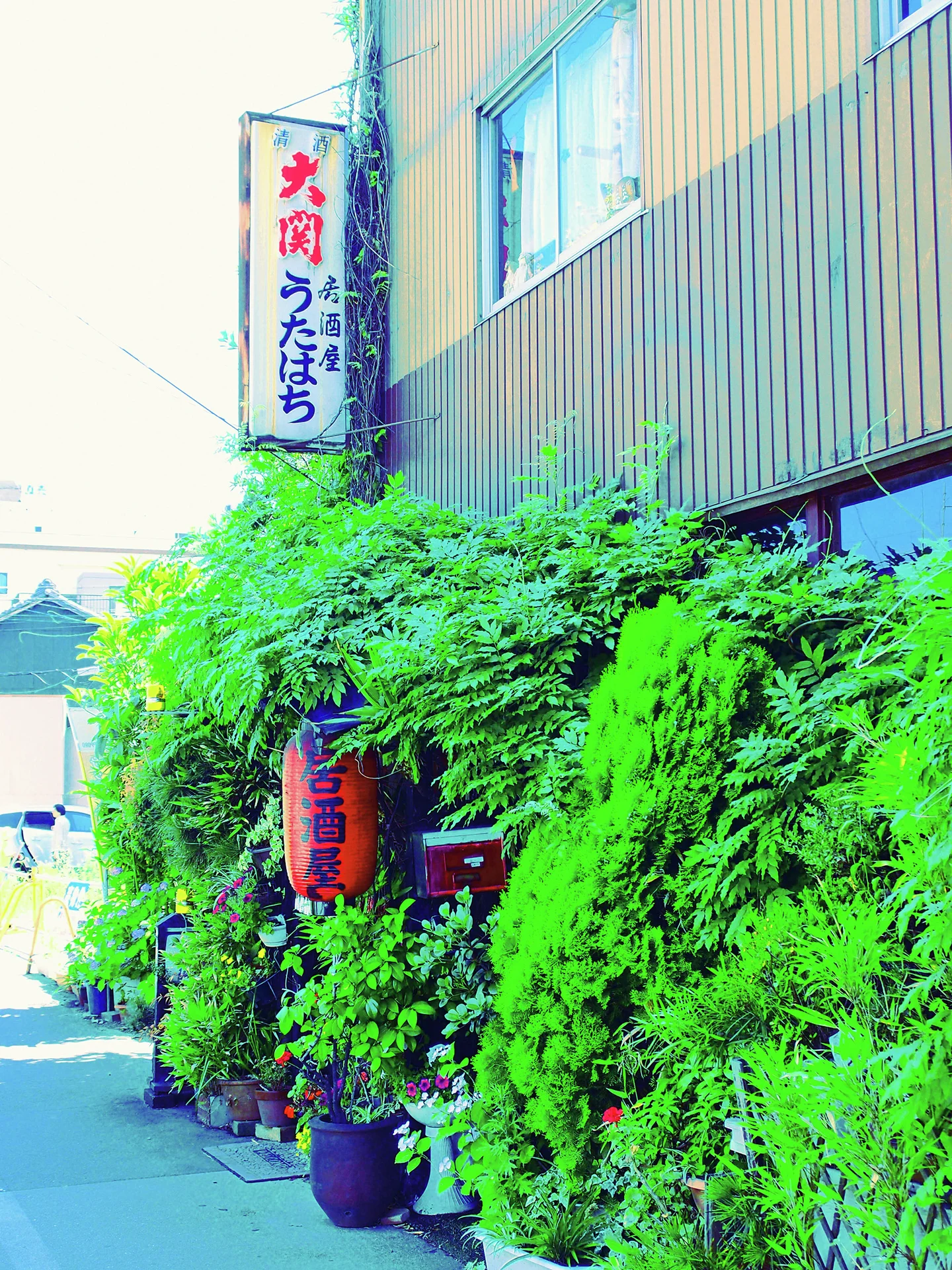 Dense green plants crowd a narrow storefront beneath a vertical Japanese sign and pale upper siding.