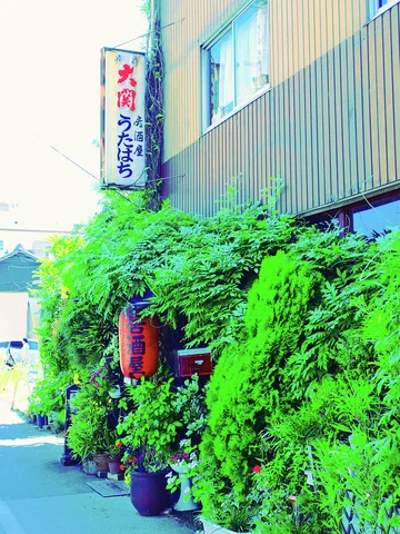 Dense green plants crowd a narrow storefront beneath a vertical Japanese sign and pale upper siding.