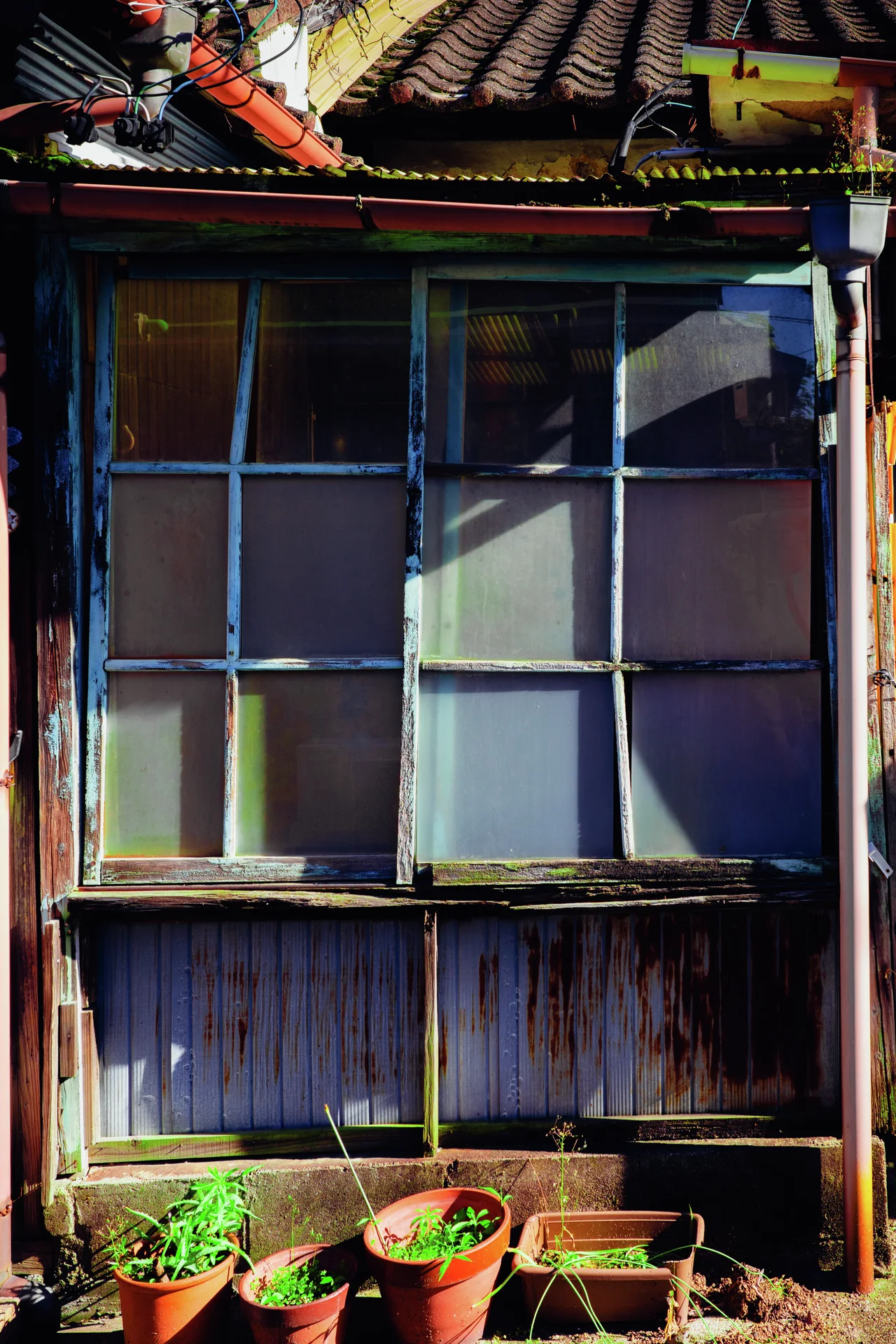 Terracotta plant pots stand beneath weathered wooden windows filled with mismatched translucent panes.