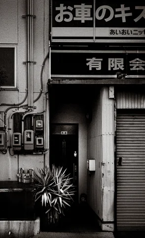 A spiky potted plant stands beside a dark narrow entrance beneath Japanese signs in black and white.