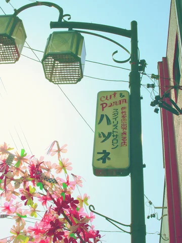 Two box-shaped street lamps hang above a vertical shop sign and pink flowers against pale sky.
