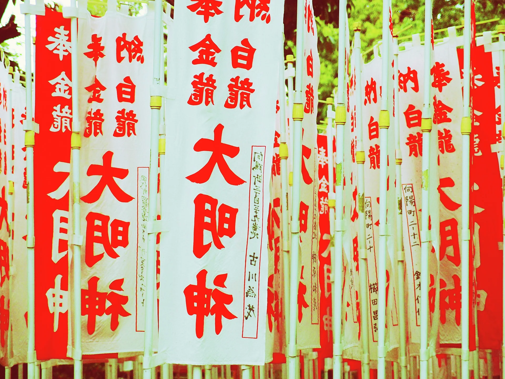 Closely packed white and red vertical banners display large red Japanese characters among slender poles.