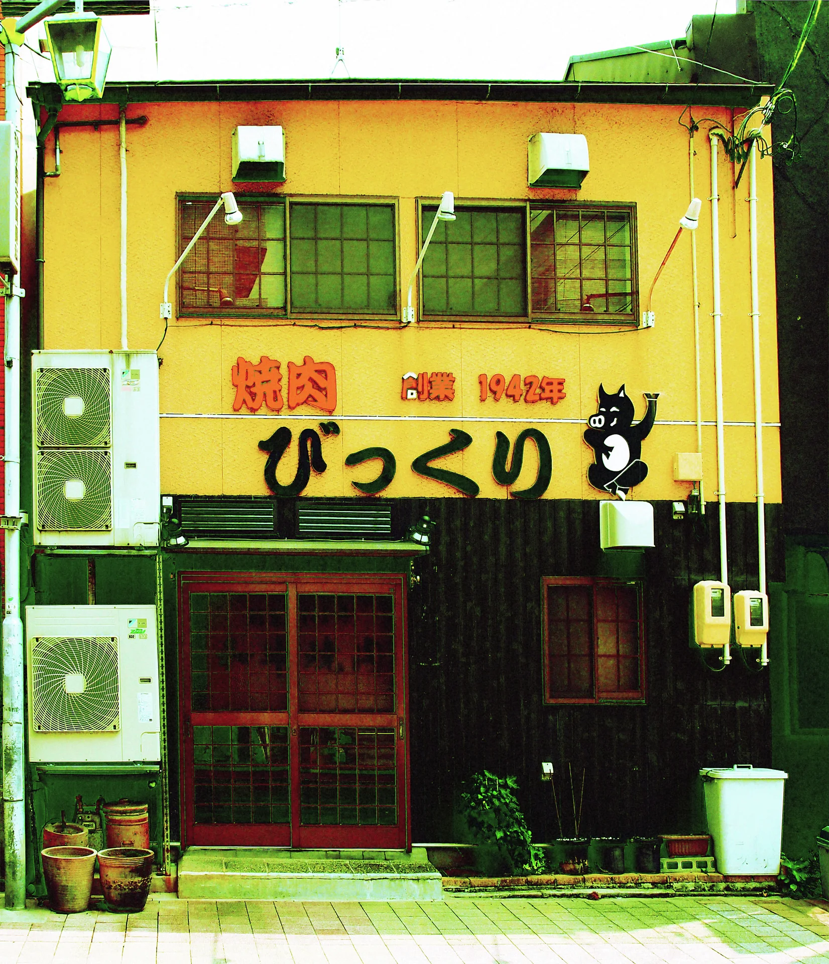 A yellow storefront displays bold black lettering and an animal graphic above dark windows and doors.
