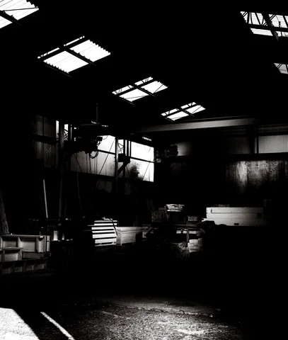 Bright rectangular skylights punctuate the roof of a dark industrial interior in black and white.