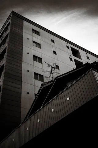 A tall pale building rises behind a sharply sloping dark roof in black and white.